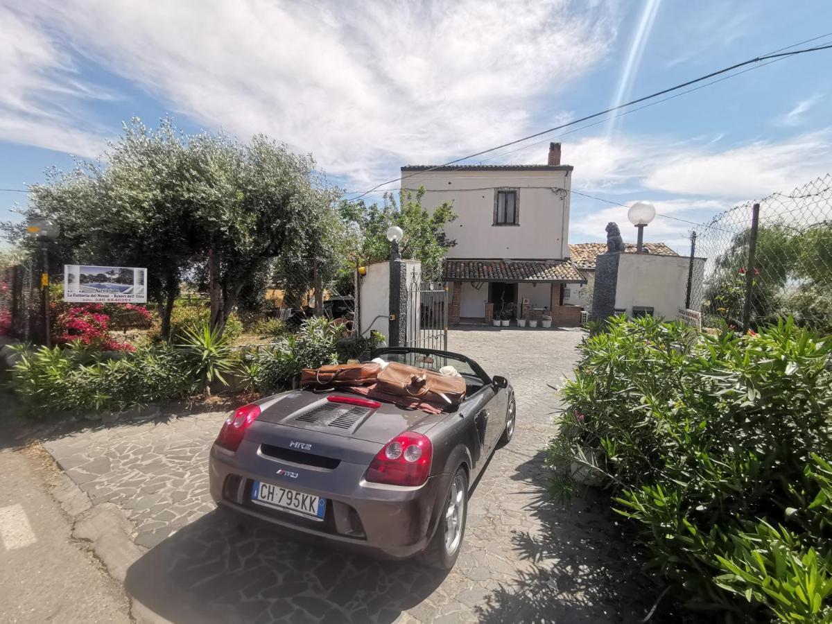 La Fattoria Dei Nonni Guest House Paterno  Exterior photo